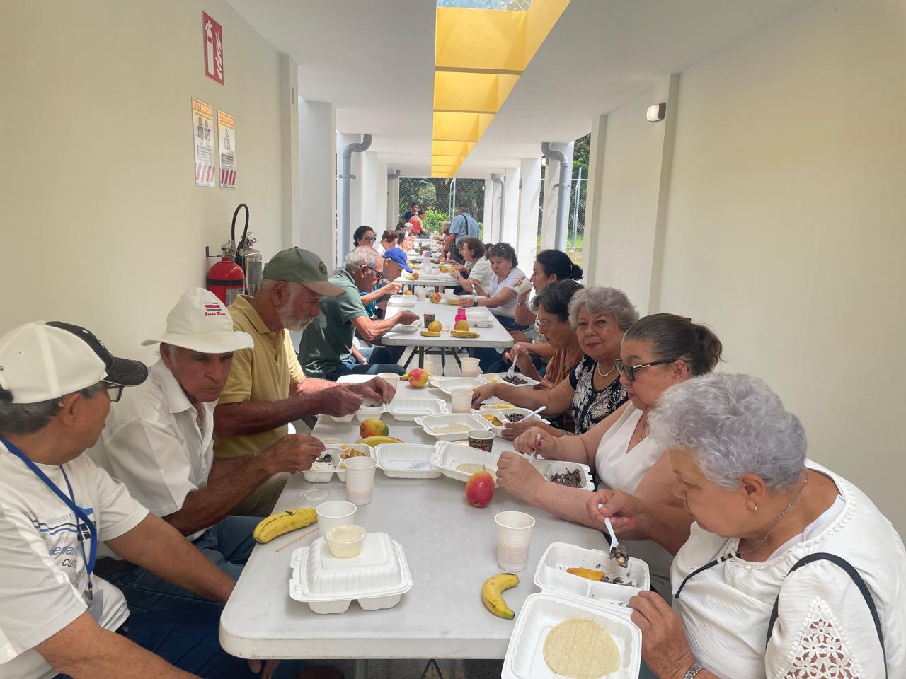 Persona Adulta Mayor